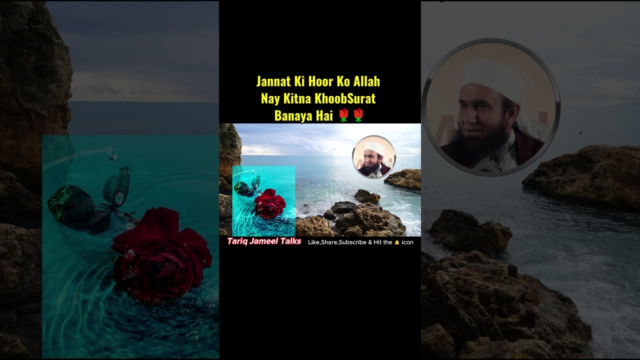 The Beauty of the Hoor in Paradise: How Allah Describes Them? #shorts