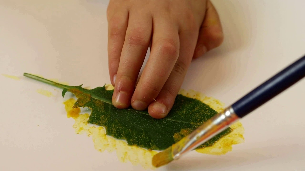 Forsche mit uns! Küchen-Farb-Kunst 3 - Drucken mit Blättern