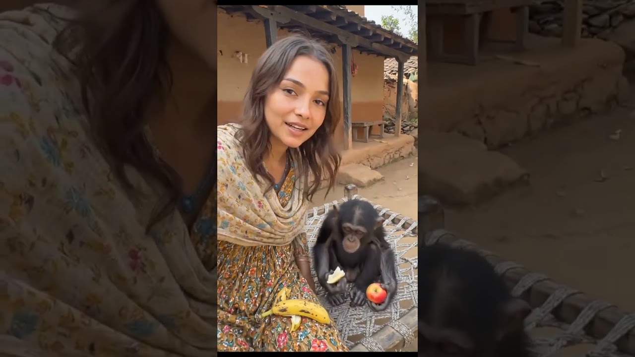 चिम्पा स्याउ र केरा खाँदैछ 🐒🍎🍌 #Chimpaa #BabyChimp #NepaliVlog #VillageLife