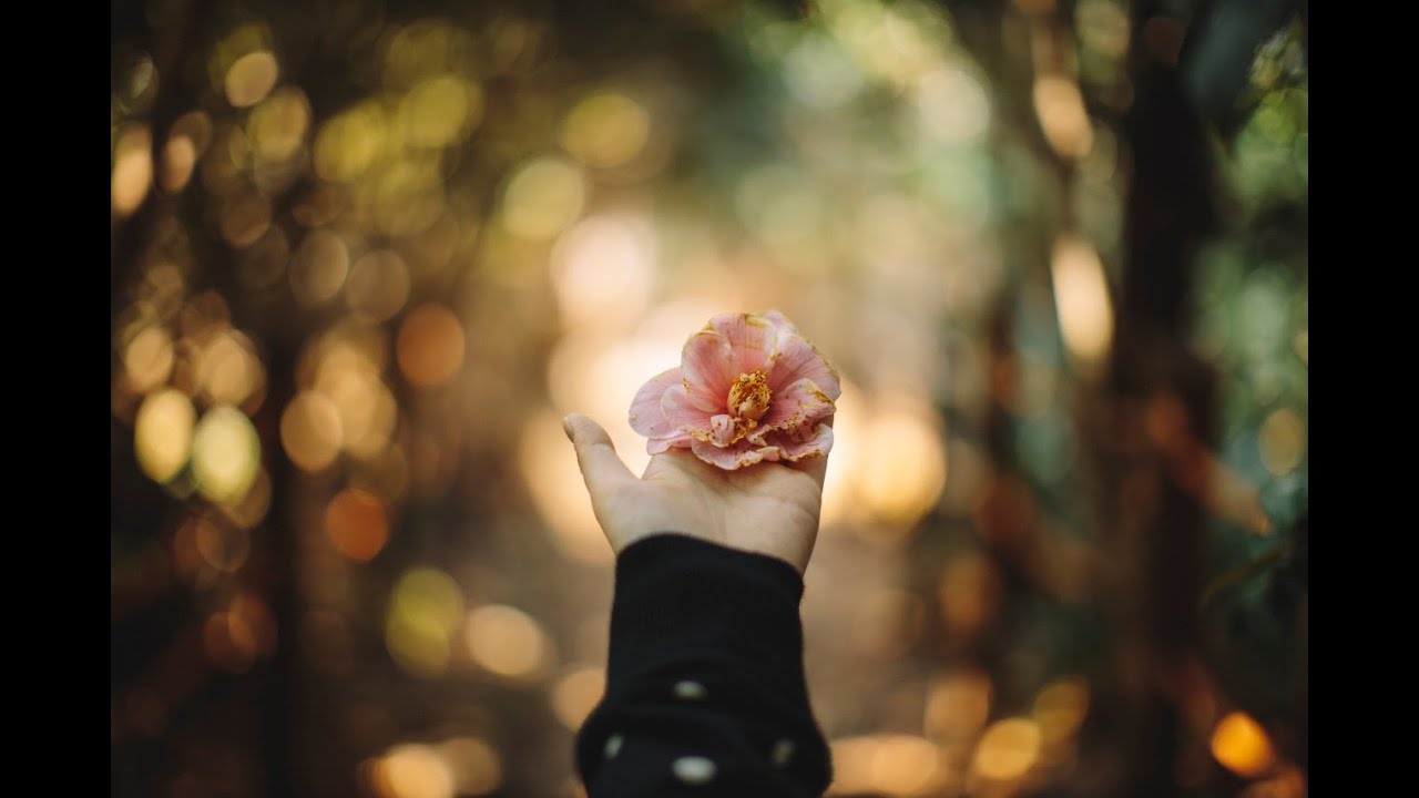 Who are you ? -  Part 1: Trong mắt người khác bạn là người như thế nào?