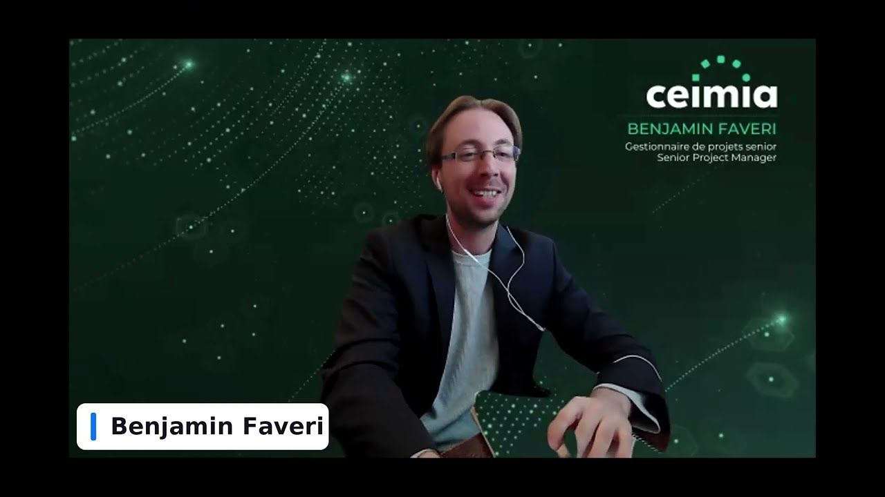Aiming for AI Interoperability series: Implementing AI Interoperability: Multisectoral Perspectives