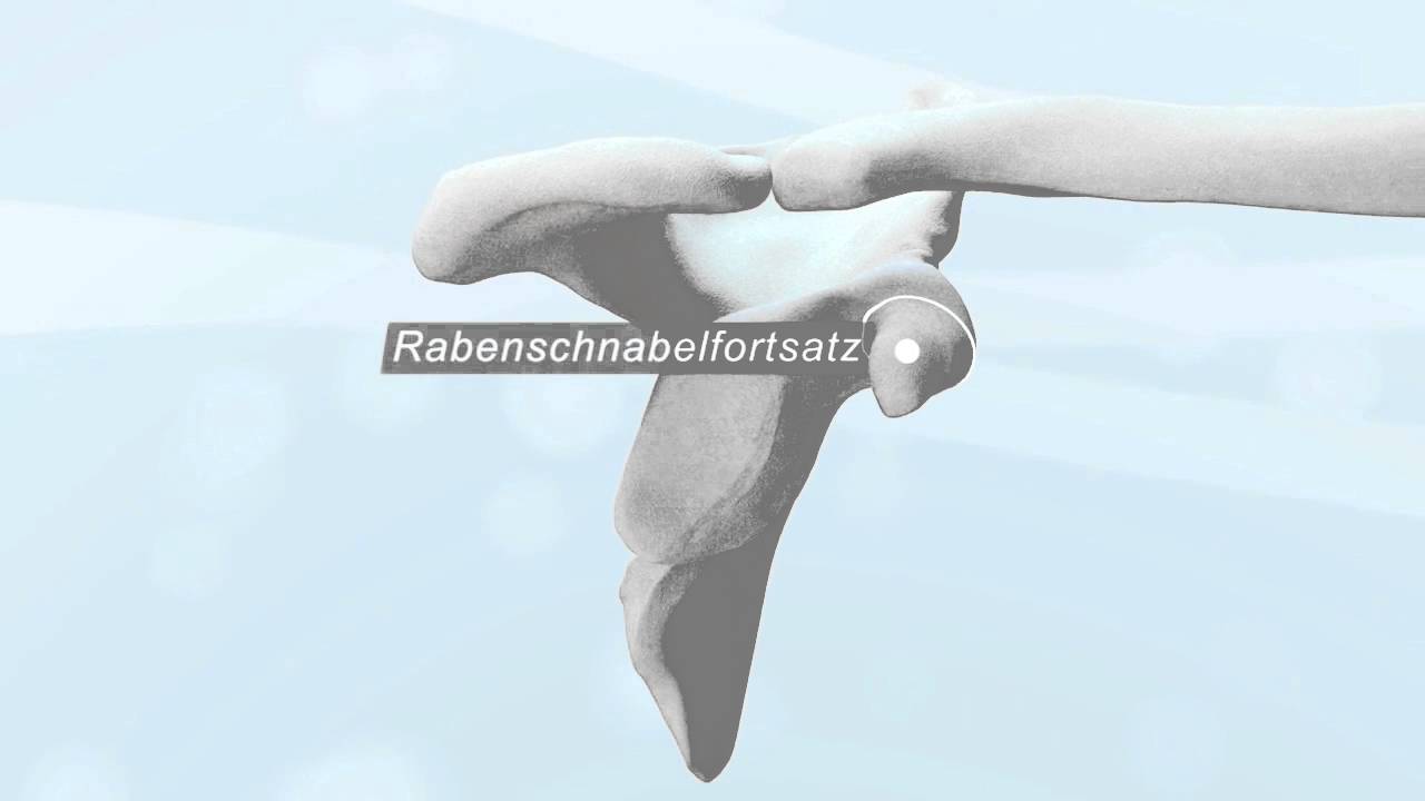«Schulter – Latarjet-Operation» - Schulthess Klinik