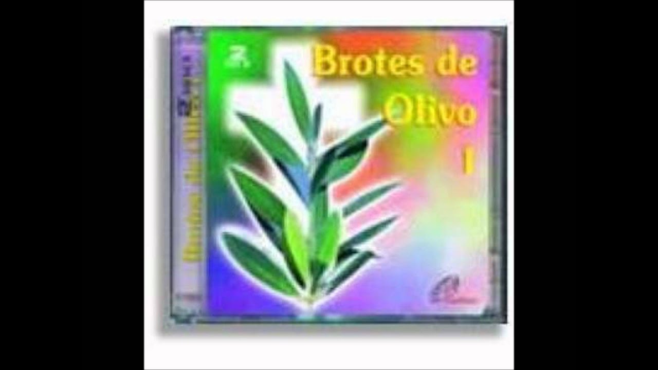 A ti que estás sentado en tu sillón  Brotes de olivo   Palencia
