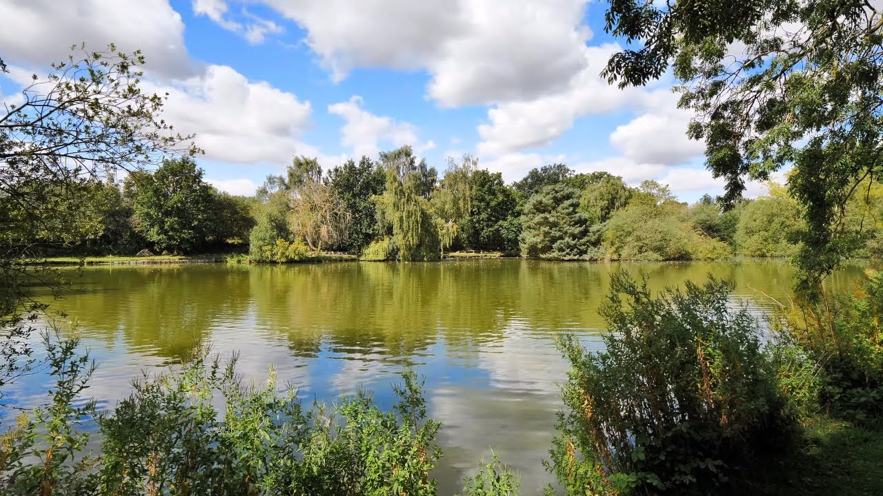 Discover the Tranquil Beauty of Ancaster Lake: A Perfect English Countryside Stroll