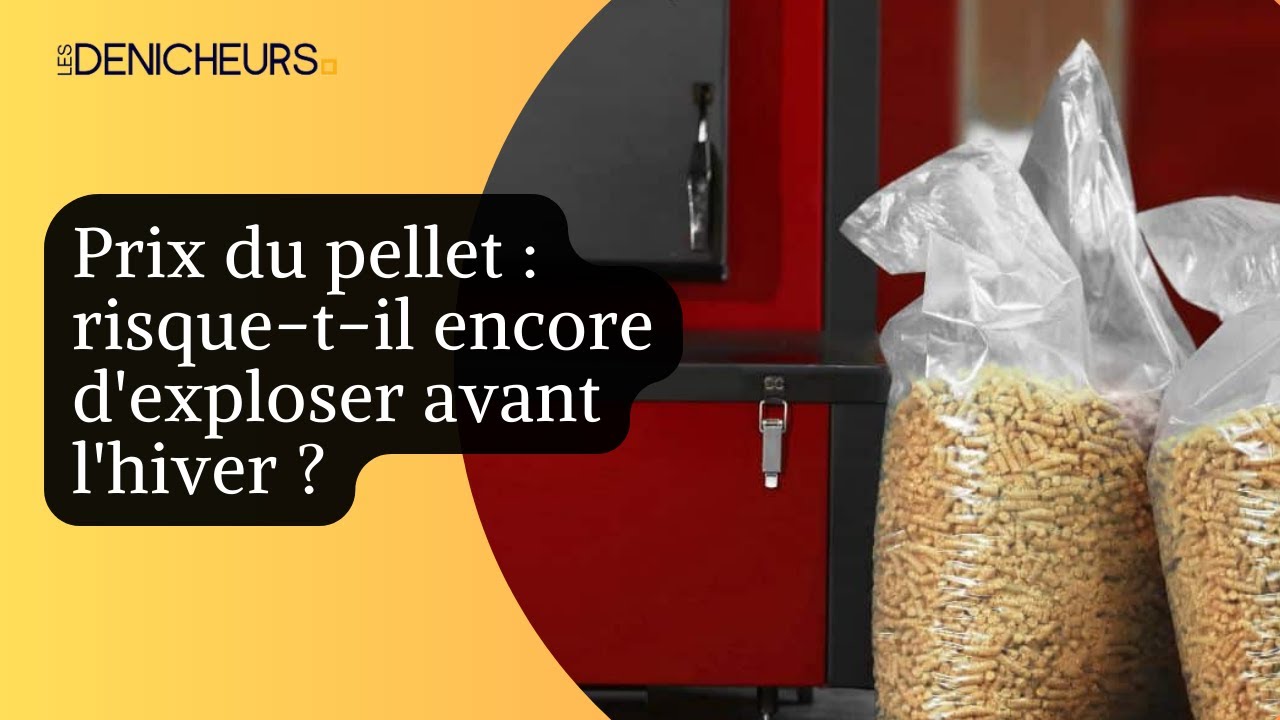💵​🫘 Prix du pellet risque-t-il encore d'exploser en hiver ? ❄️