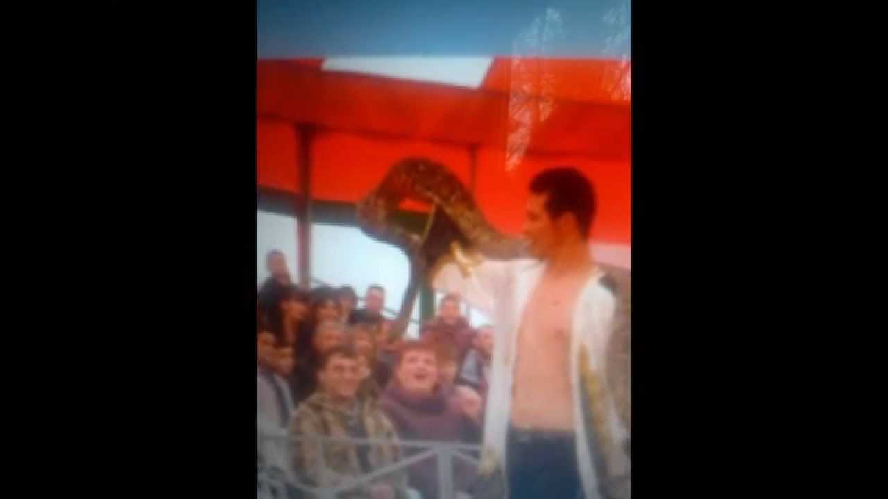 le cirque triomphe et cindy full