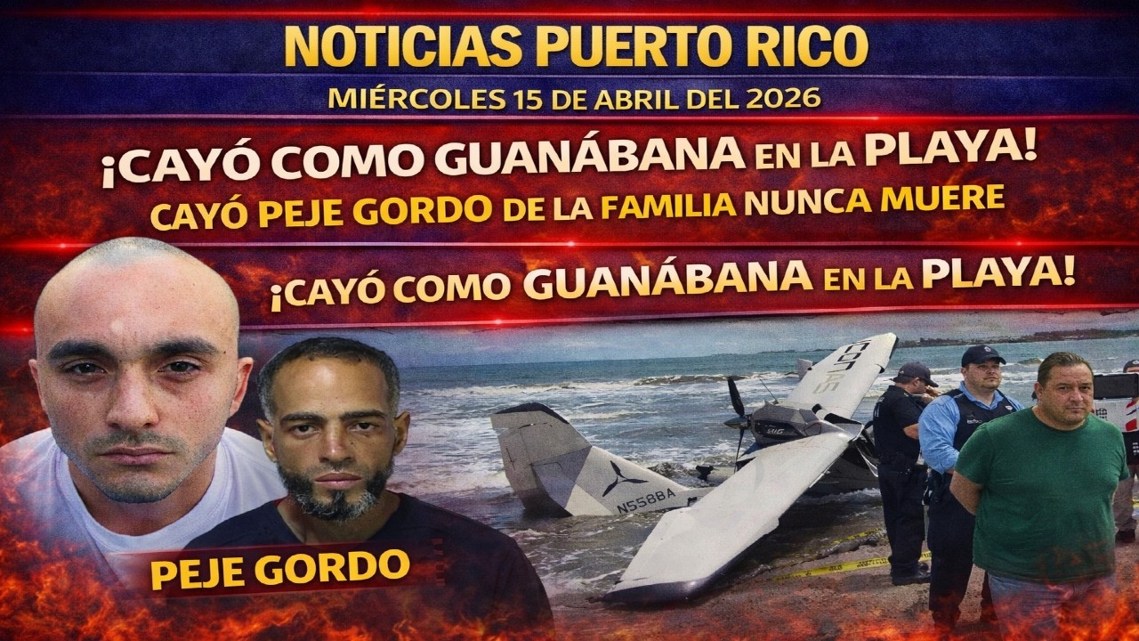 &iexcl;CAE PEJE GORDO, AVIONETA SE ESTRELLA Y REVOL&Uacute; EN EL BK! - NOTICIAS PUERTO RICO