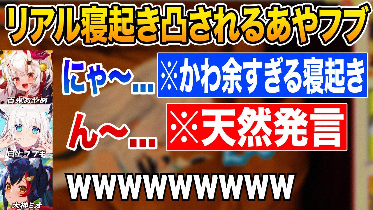 朝5時半に寝起き凸される2人の寝起きが可愛すぎて笑いを抑えられない大神ミオ【ホロライブ 切り抜き】百鬼あやめ 白上フブキ