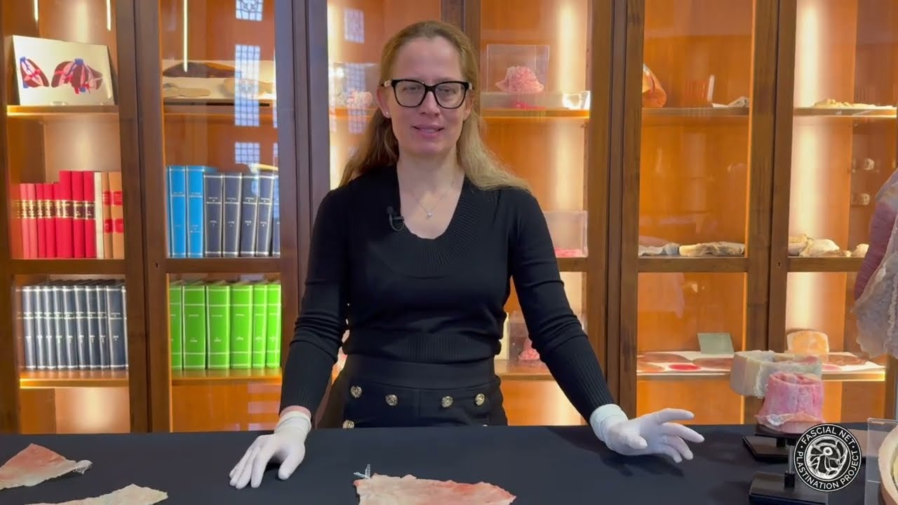 3. ABDOMINAL DEEP FASCIA - FNPP The Traveling Collection