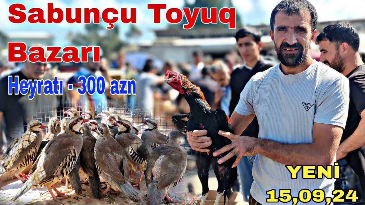 Sabunçu Toyuq Bazarı 15 sentyabr 2024