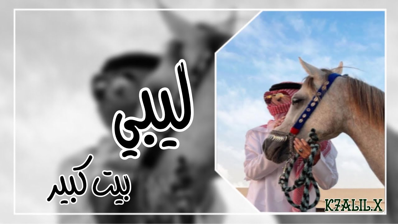 إستگنان ليبي - مـطلـووب 