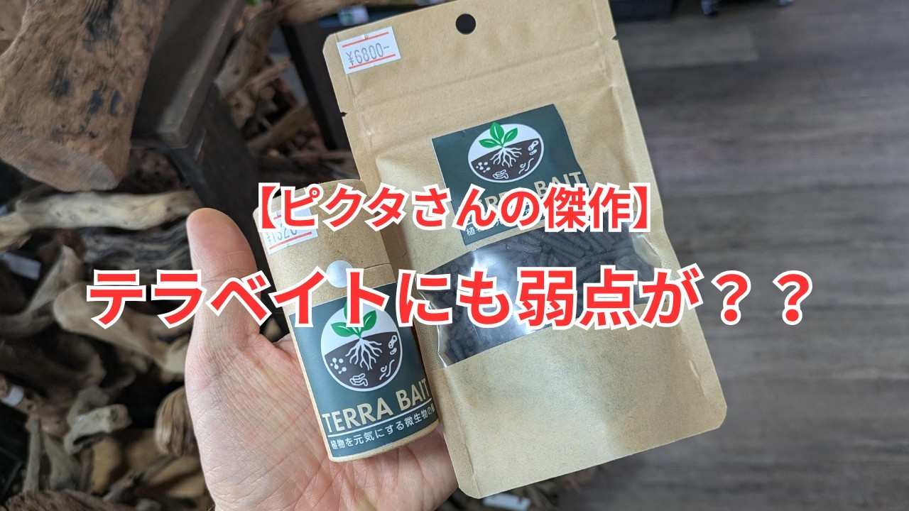 テラベイトの弱点？をお話します！