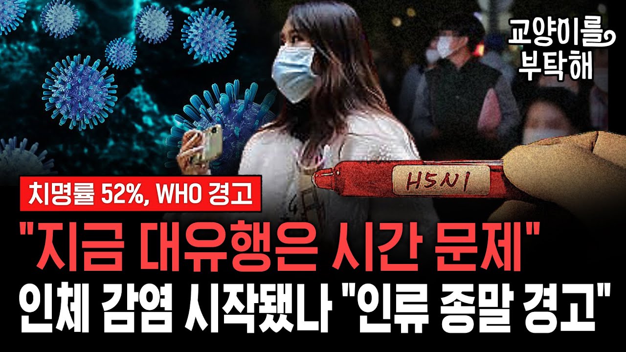 [지식뉴스 EP.48] 