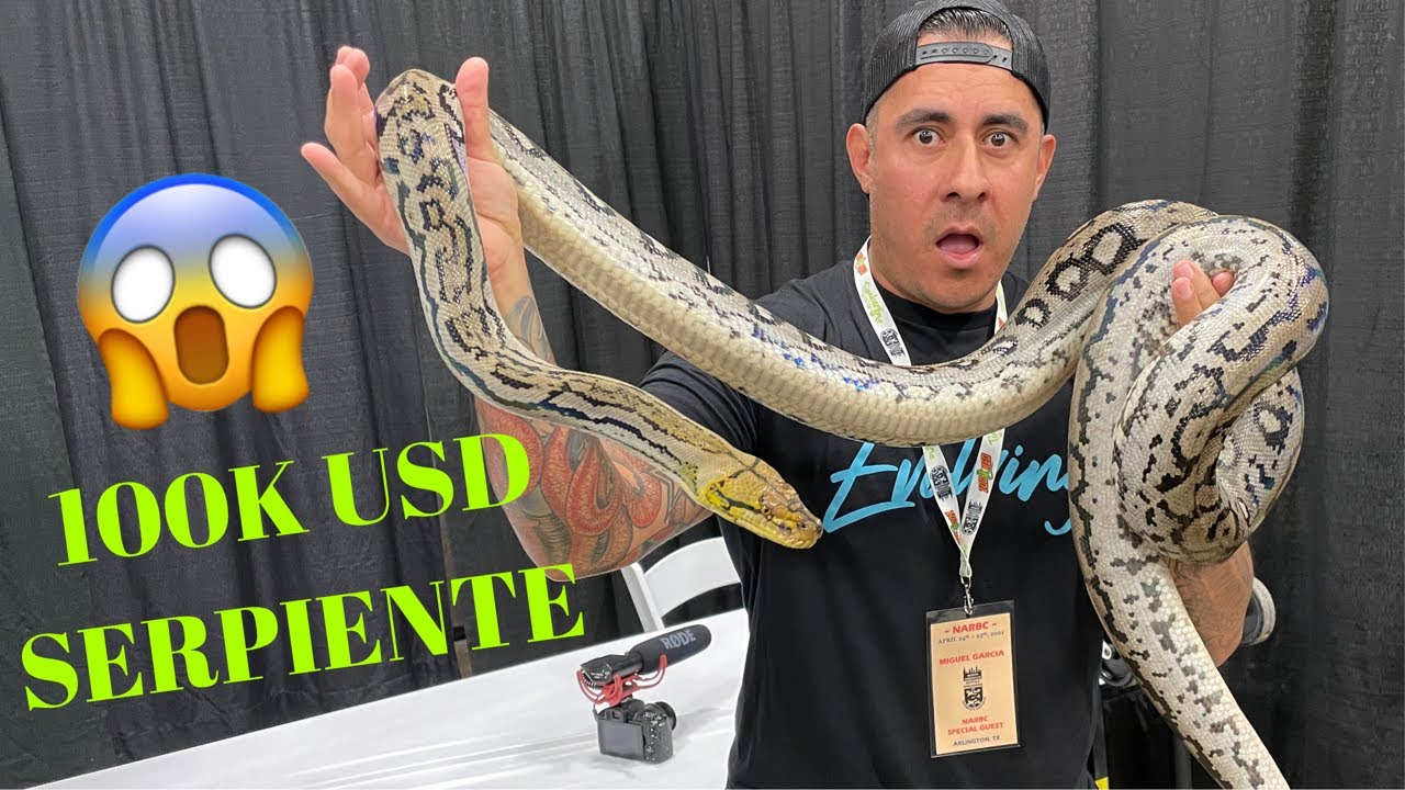 No Puedo Creer Que Esta Serpiente Cueste 100 Mil Dólares!!!