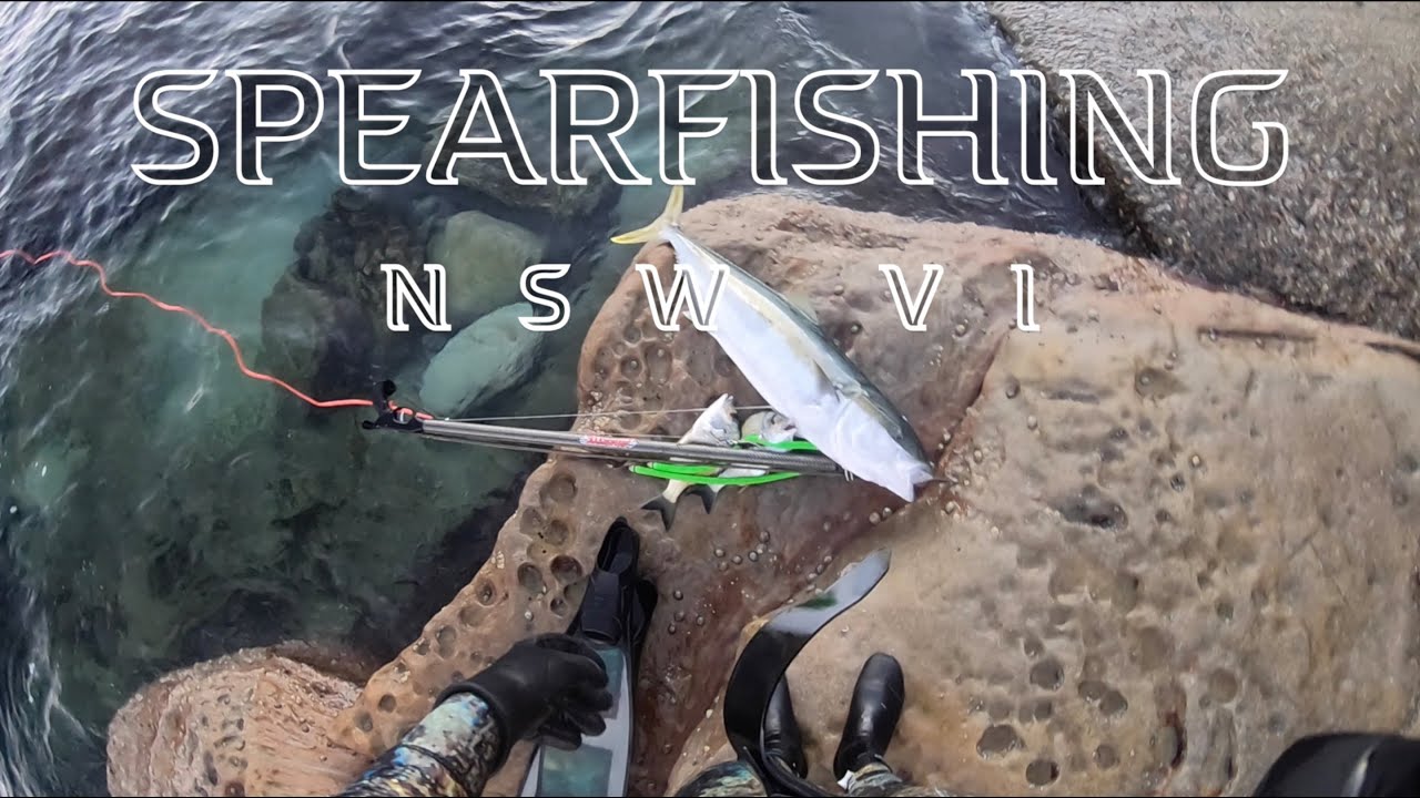 Spearfishing NSW 6 2019