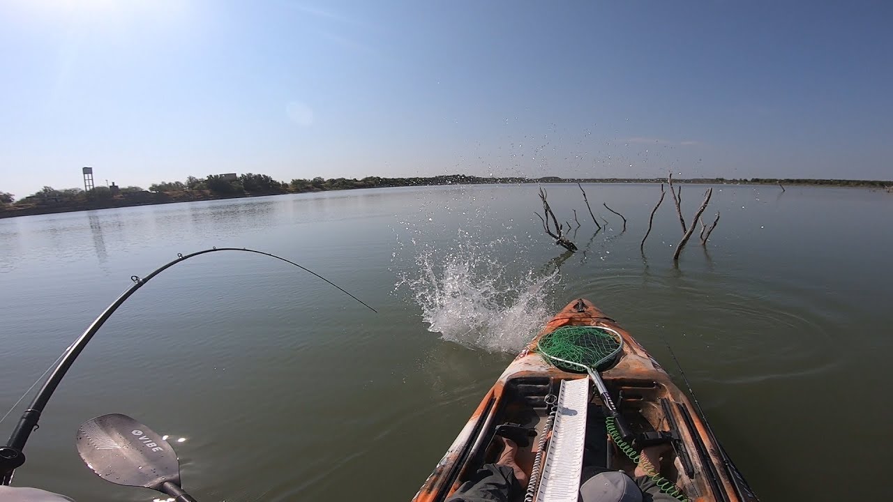 Primer pesca en KAYAK result&oacute; en CAPTURAS GIGANTES!