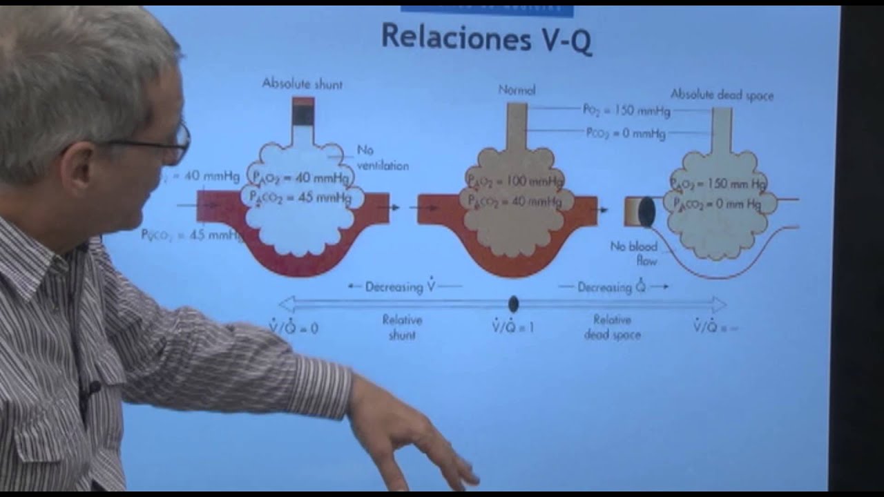Fisiología III- Relación  V/Q  1