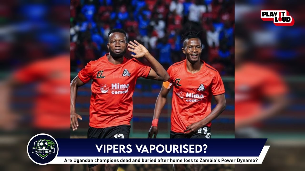 VIPERS VAPOURISED