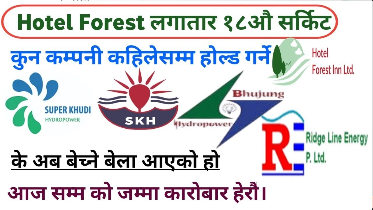 Hotel Forest inn Bhujung hydro limited and others stock today update 