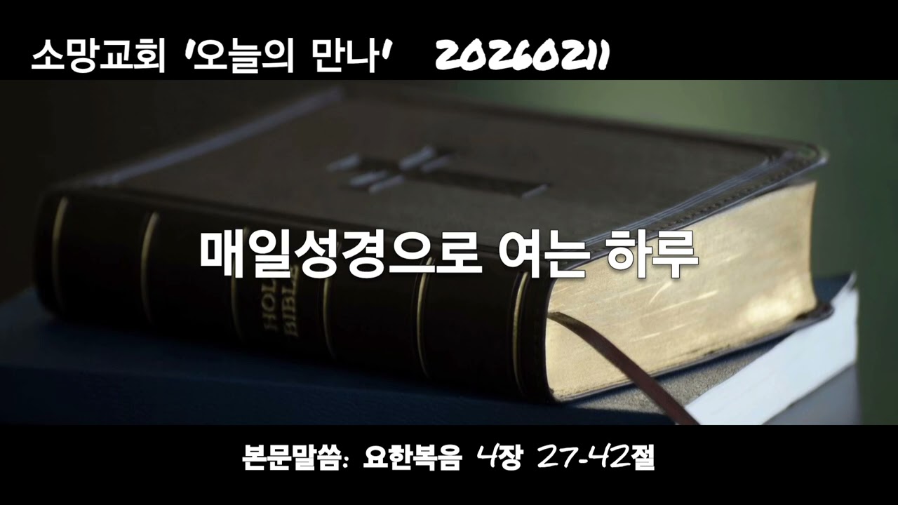 매일성경묵상 20260211 (요 4:27~42)
