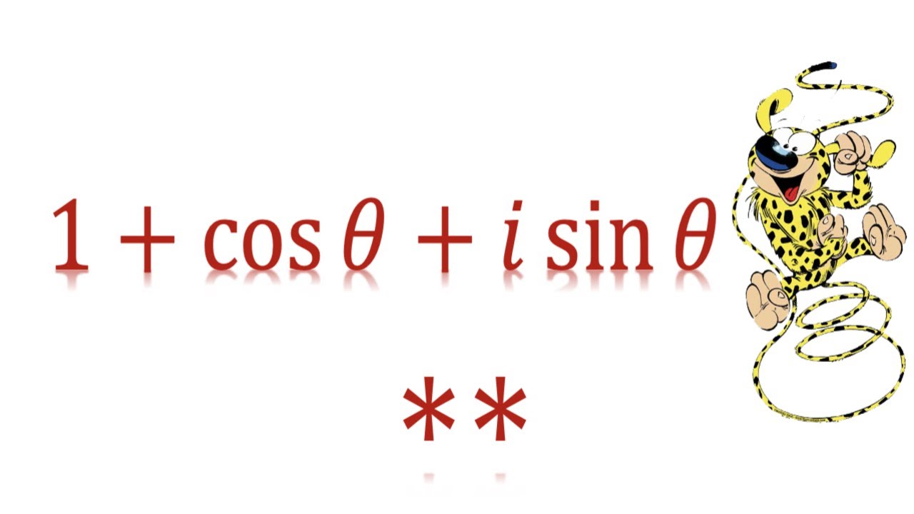 Forme exponentielle pas simple : partie 2 (ECS1)