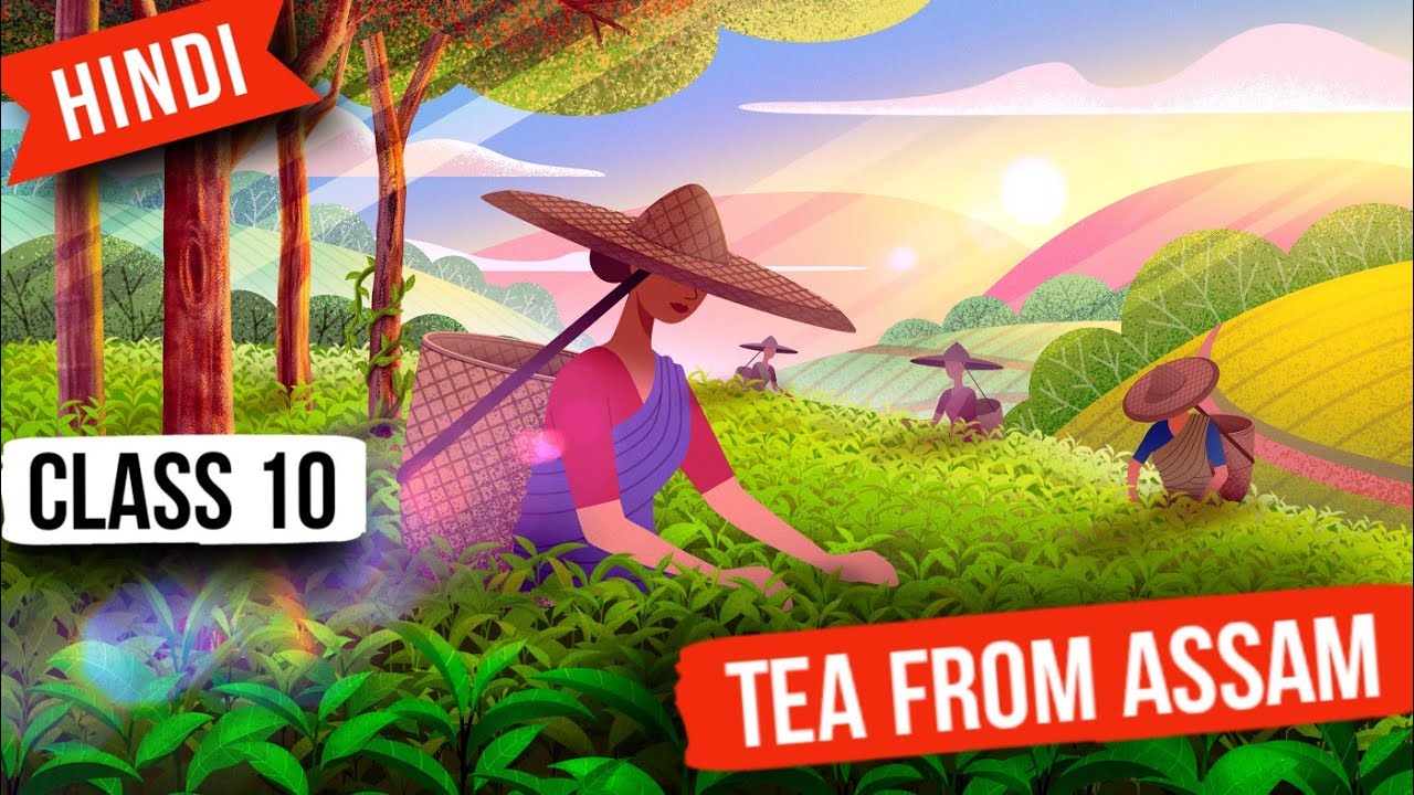 Tea from Assam class 10 - Ep03 - Glimpses Of India Class 10 | Tea From Assam Class 10 In Hindi