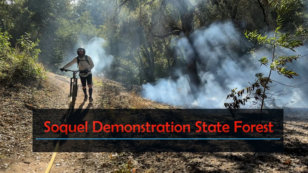 REDUCING WILDFIRE RISK: Soquel Demonstration State Forest🌲