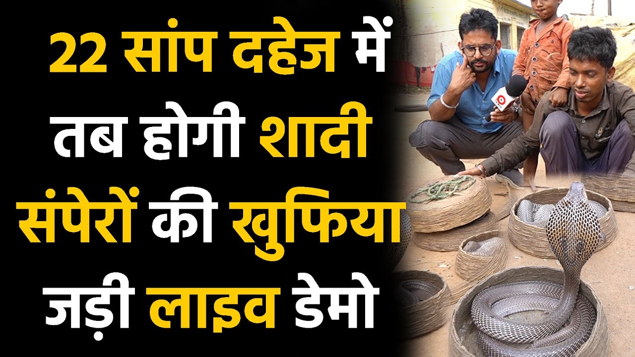 Chattisgarh recation इस संपरों की बस्ती के बारे में क्या होगा, Cg box ground report
