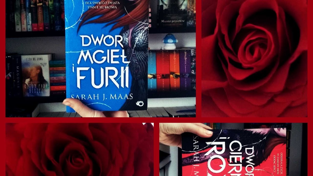Dwór mgieł i furii - BOOK TAG orginal
