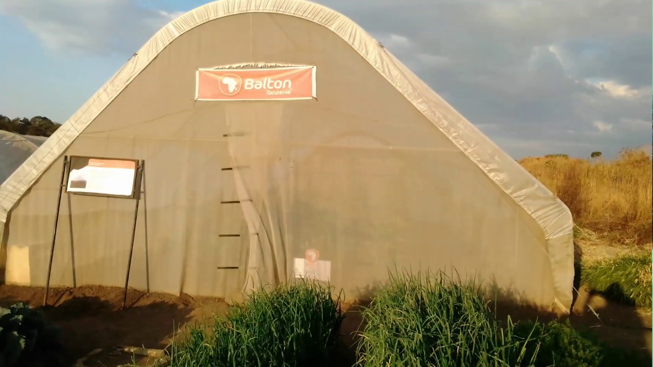 KILIMO CHA SHAMBA KITALU:Jifunze green house na faida zake