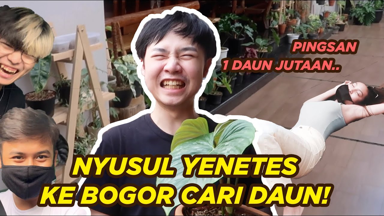 KERACUNAN ANDY YENETES TERNAK DAUN!