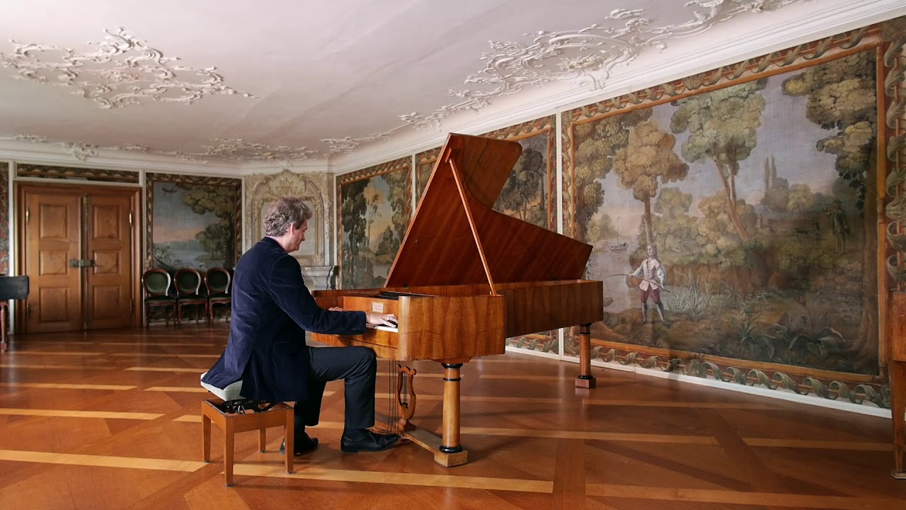 Hardy Rittner plays Fr&eacute;d&eacute;ric Chopin &bull; &Eacute;tude C Sharp Minor &bull; OP. 10 NO. 4