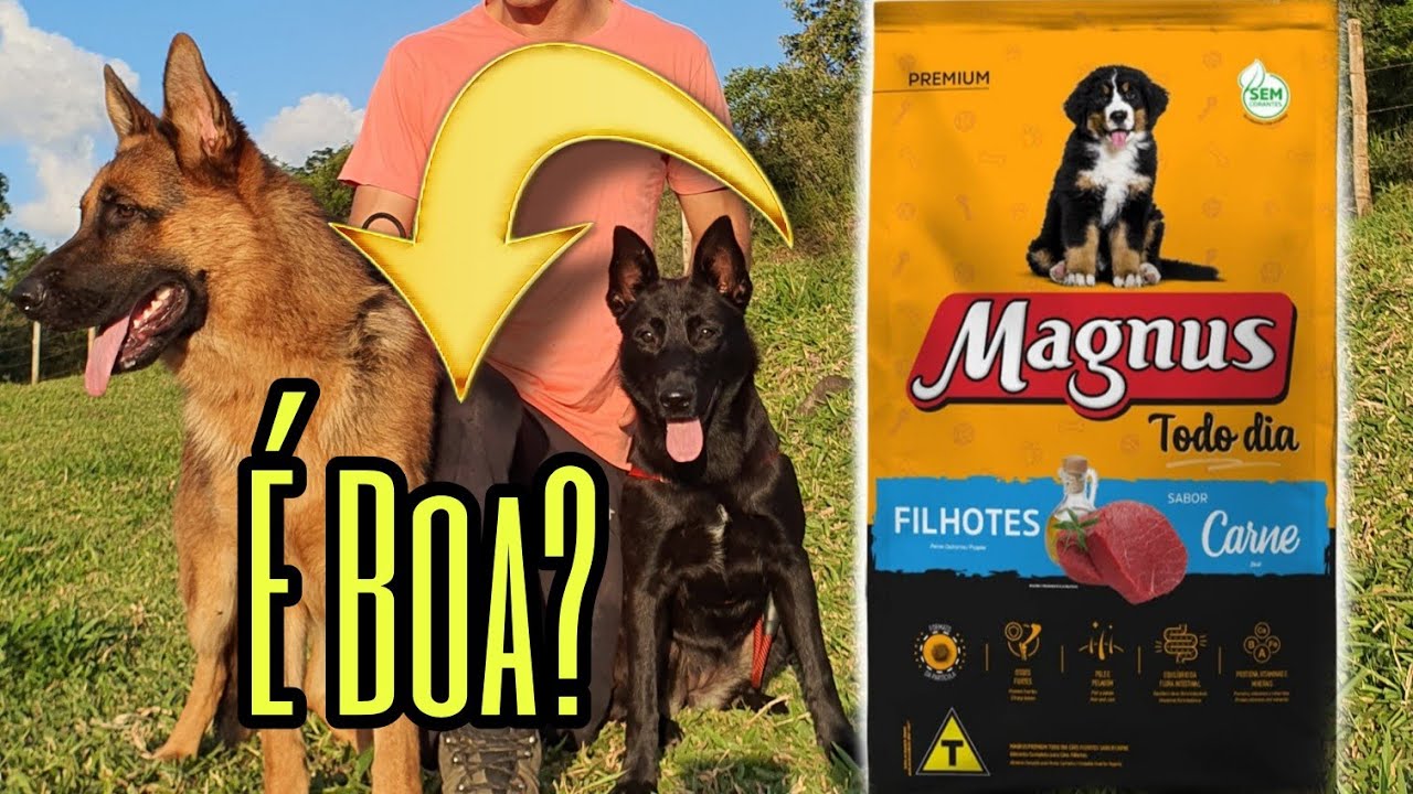 Ração Magnus Filhote Todo Dia Sabor Carne é Boa? Canil Chapéu Branco