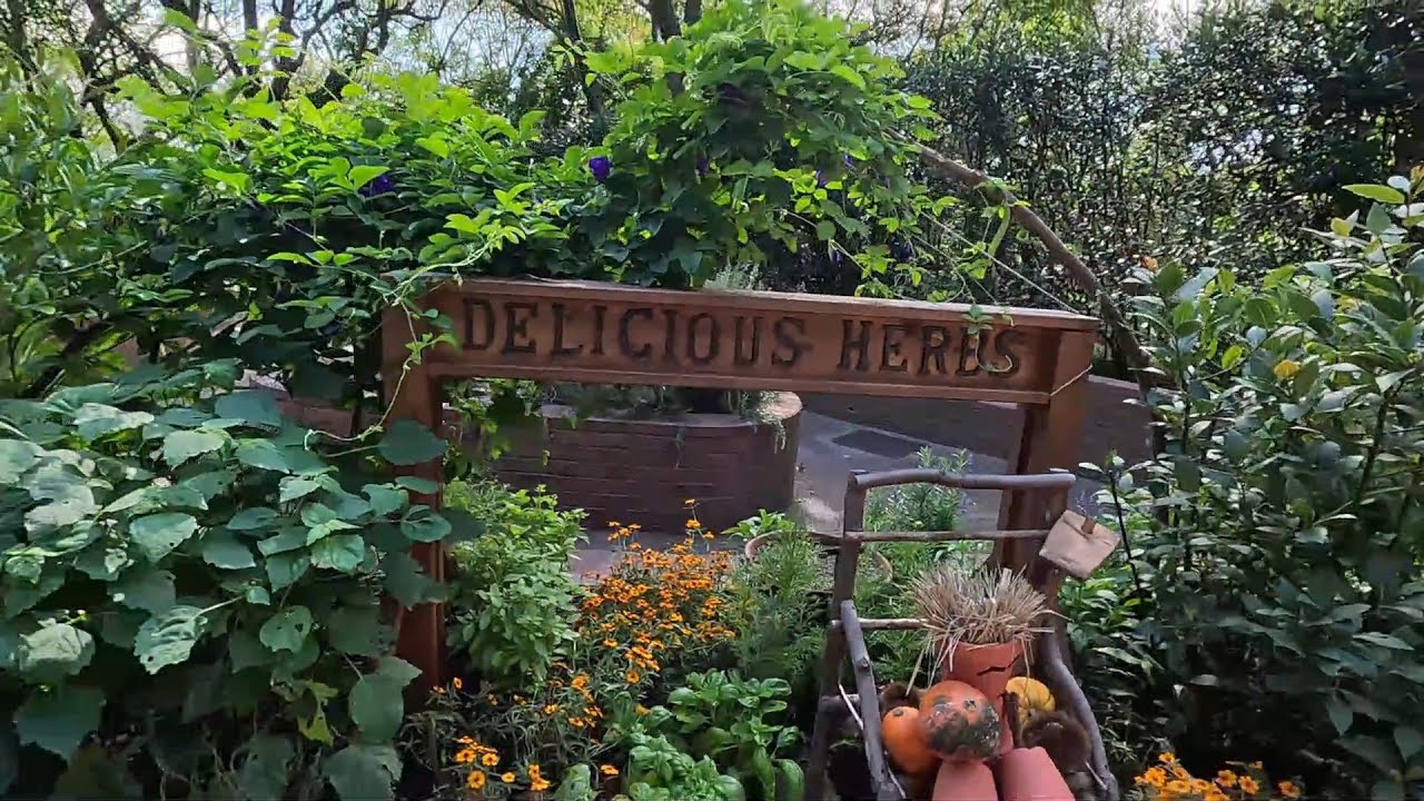 Cleveland Wayfarer in Japan - The Herb Gardens & Ropeway, Kobe