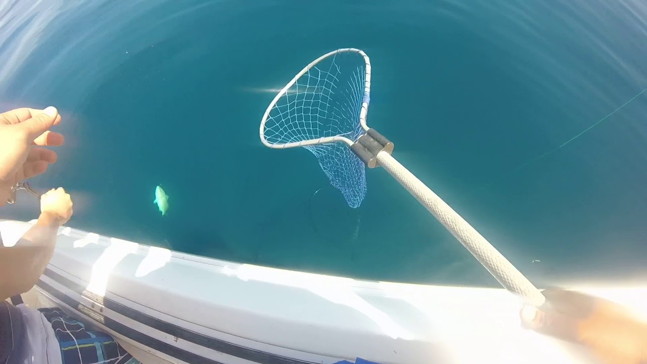 Grouper Fishing Off Naples FL