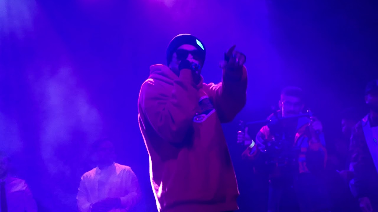 Bohemia at Urban Desi Concert 2018 New York