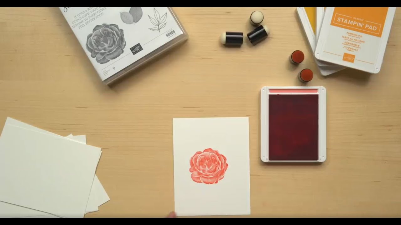 Stamping Technique: Distinktive Stamps by Stampin’ Up! | Add Realistic Detail with One Ink