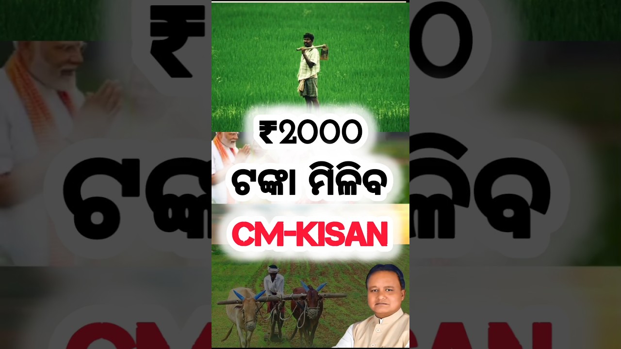 CM Kisan ₹2000 ମିଳିବ? 😱 | CM Kisan New Update 2026 | #shorts #cmkisan