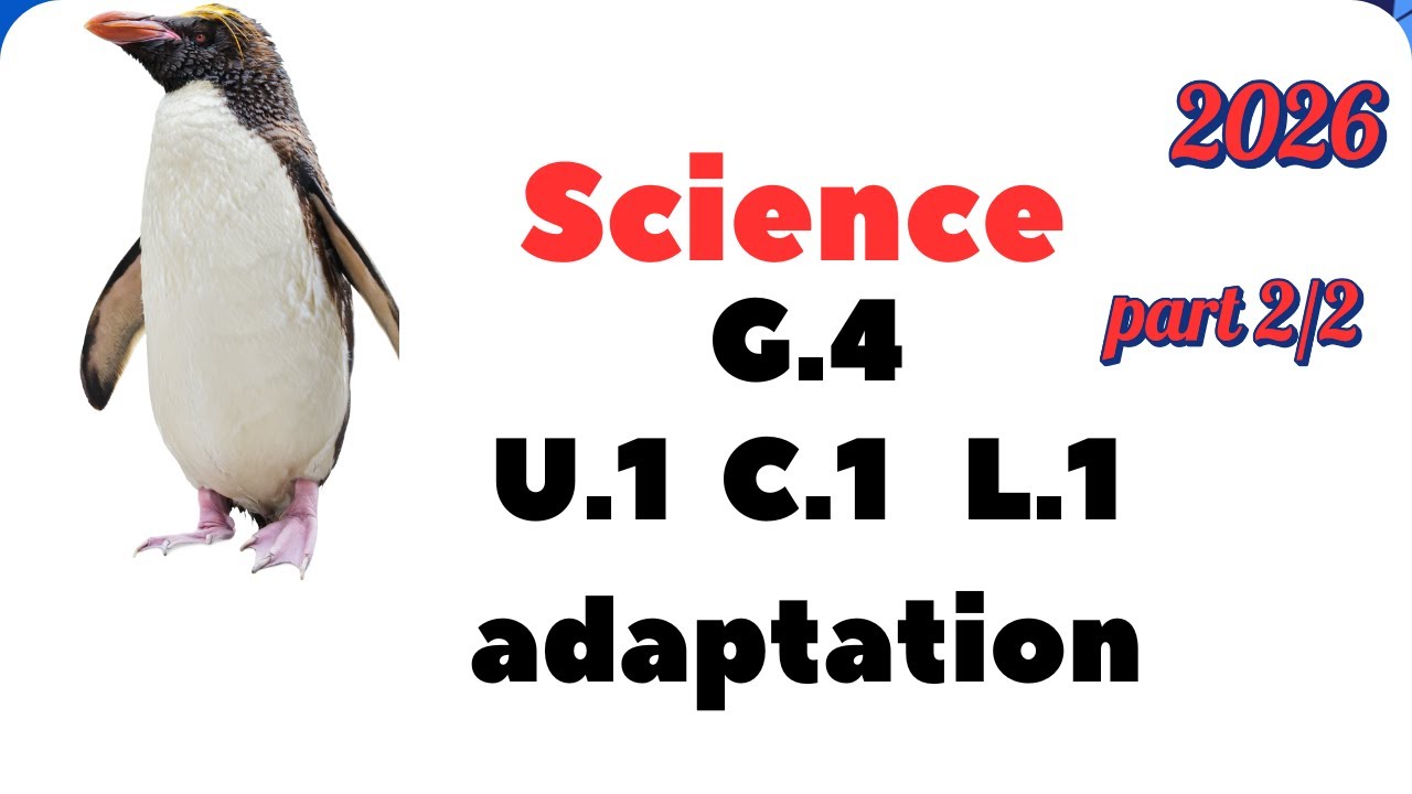 4th Grade Science: Adaptation for Survival! (Unit 1, Concept 1, Lesson 1) -2/2 Science 2026”