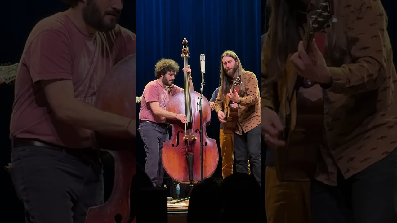 Sam Grisman Project tribute to Bob Weir &ldquo;Looks Like Rain&rdquo; 