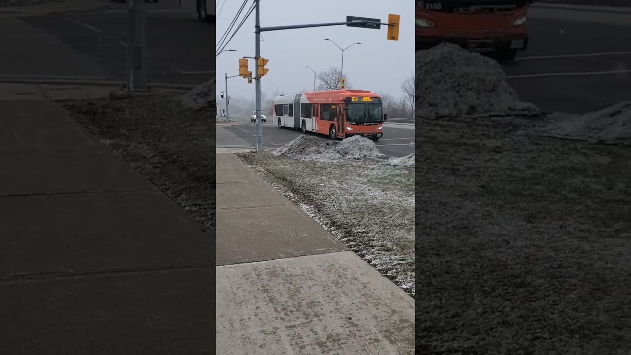 miway 2021 new flyer artuladed local clean diesel hybrid electric bus 😘😎 #shorts #short #viral