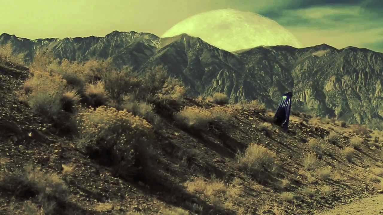 CALIFORNIA POPPY | DAVID DOUGLAS official video