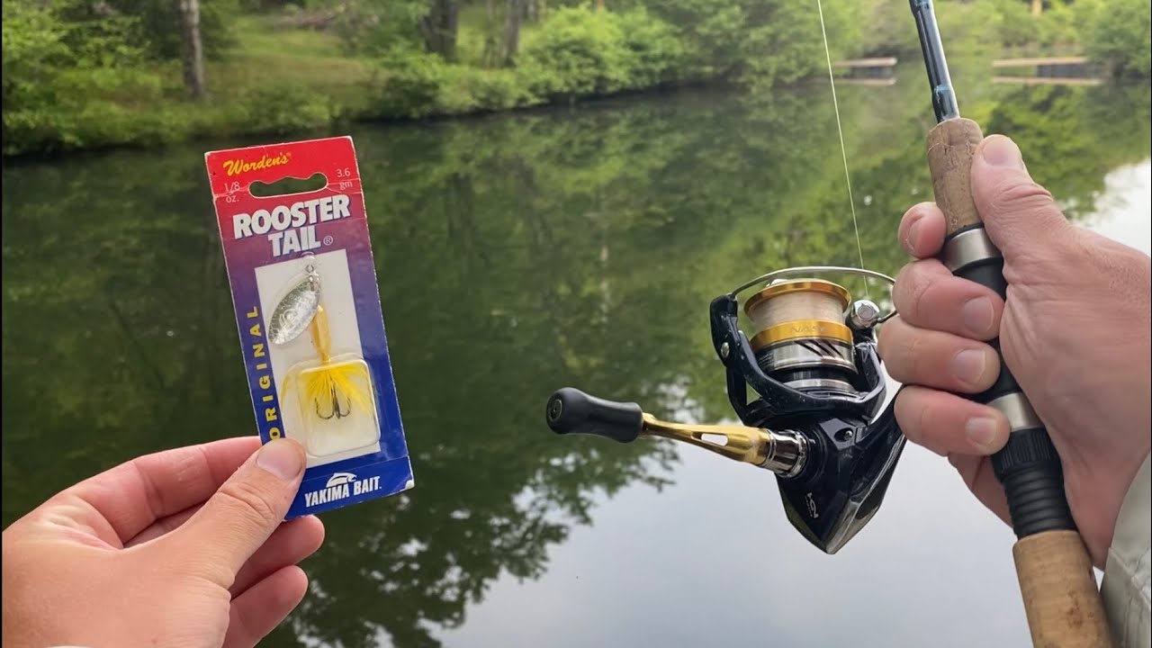 Rooster Tail Pond Fishing!! (1 Hour CHALLENGE!!)