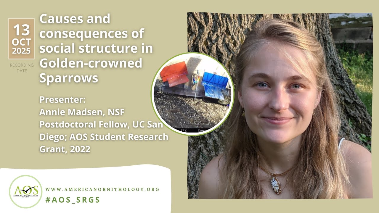 Causes and consequences of social structure in Golden crowned Sparrows