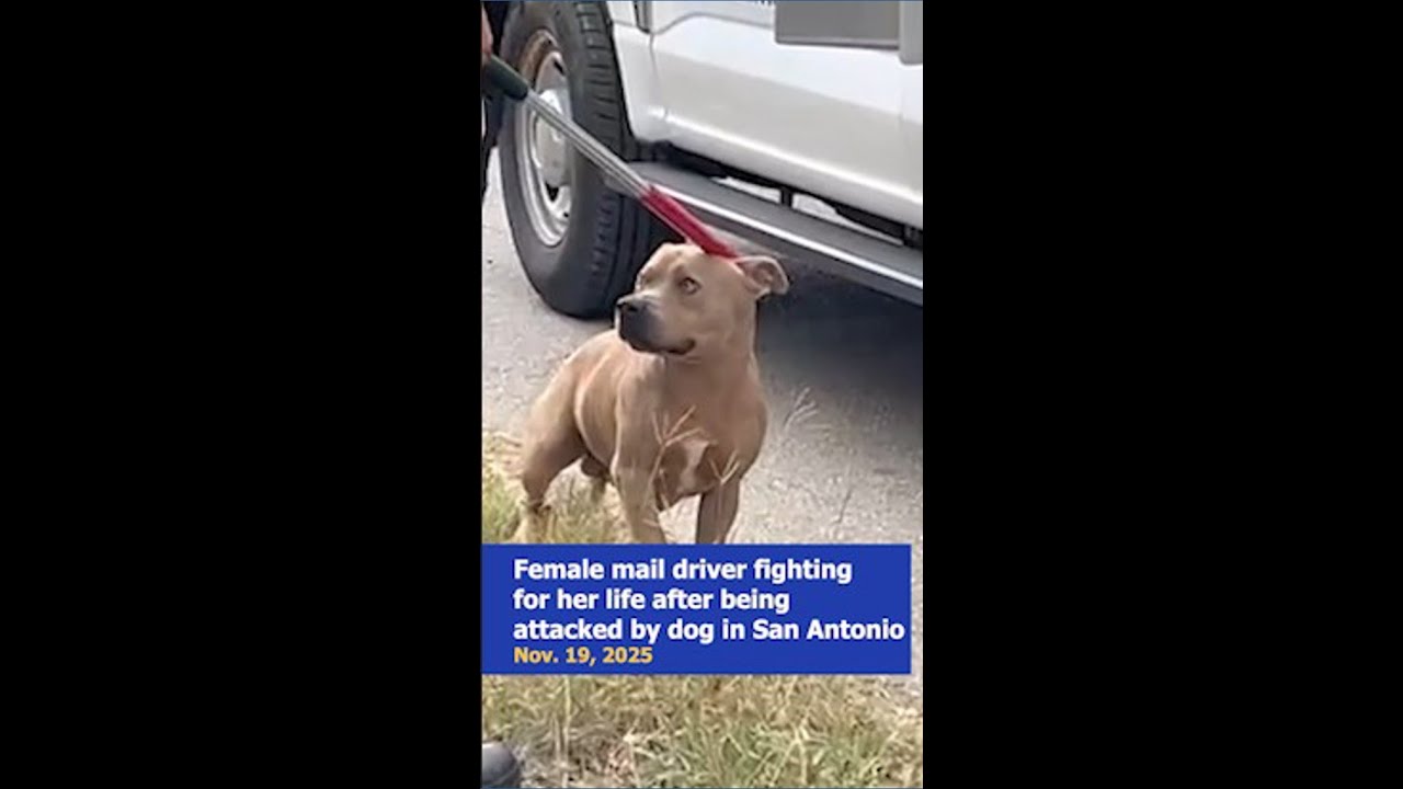 Mail driver hospitalized in critical condition after dog attacks her in San Antonio, SAPD says