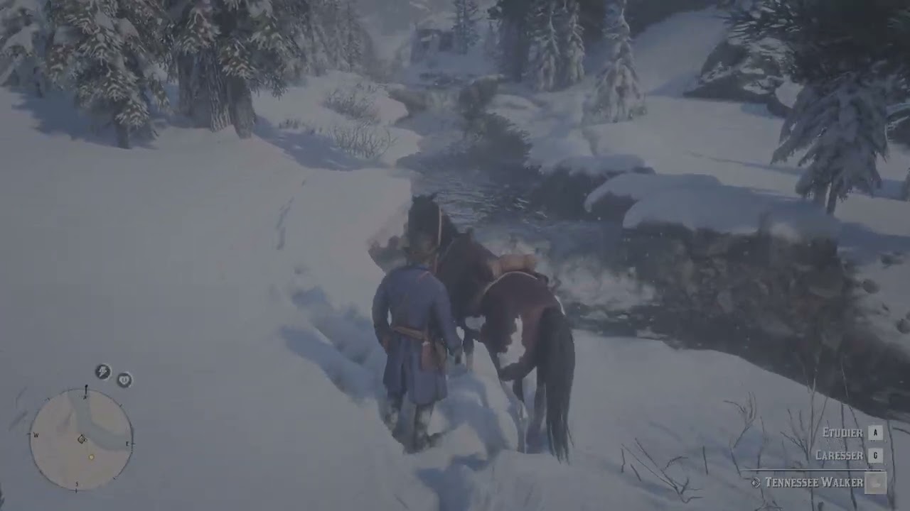 Red Dead Redemption 2 ( partie 3 )