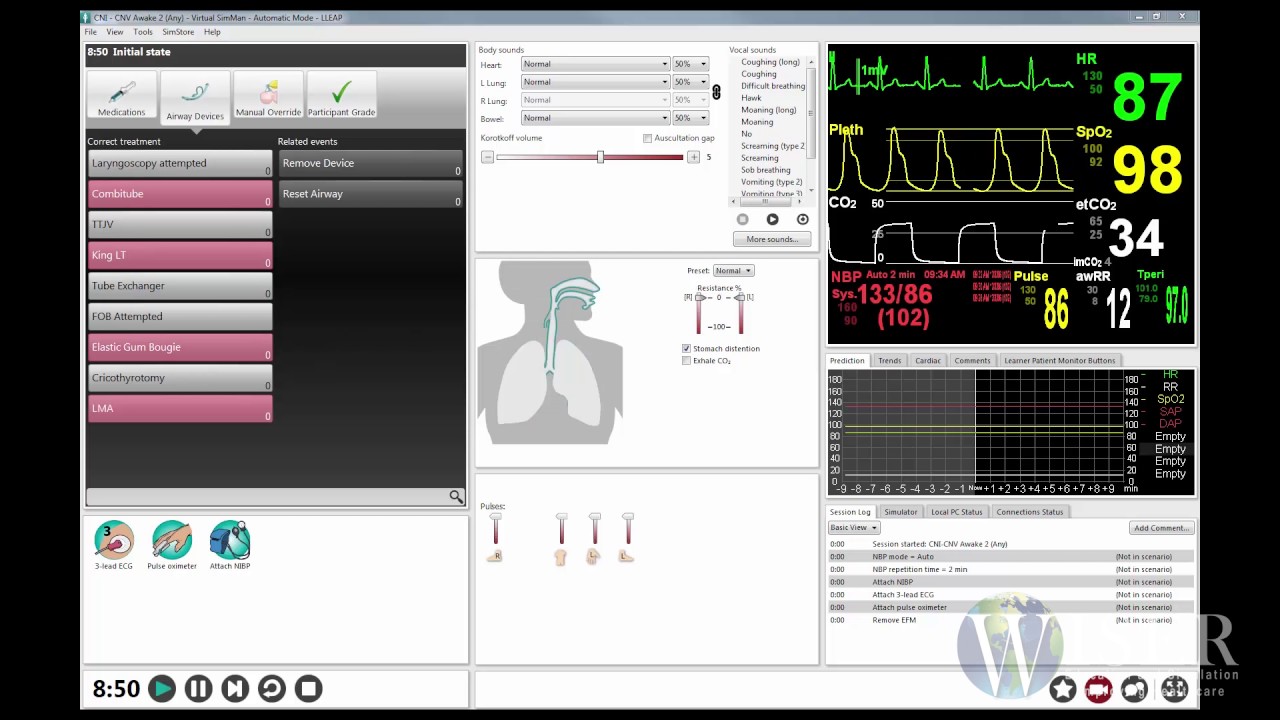 Utilizing Color Coding in Laerdal's LLeap Software