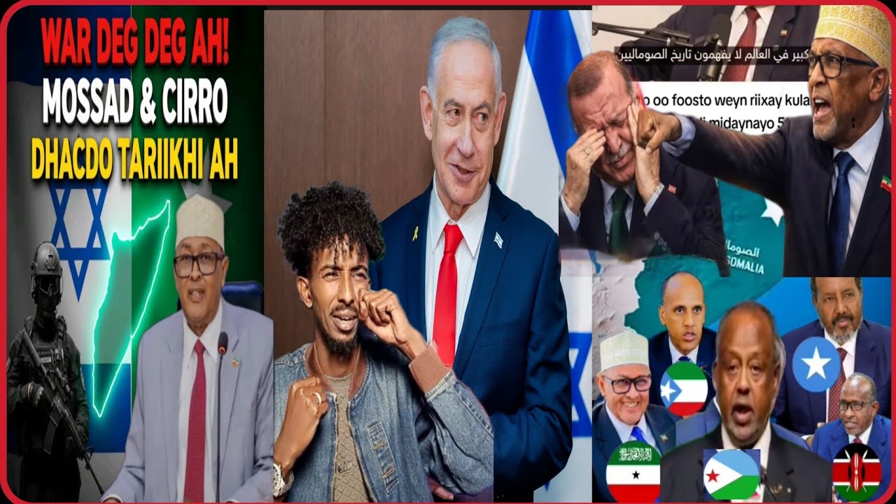 RAJADII SOMALIA MUGDI GASHAY WADAMO WAAWAYN CIRO SEXEEX UGU DUGAY AQONSIGA SLILAND HALMAR DHAWAQAYA