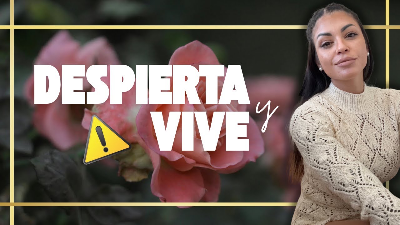 No te preocupes nunca y por nada. 🌹