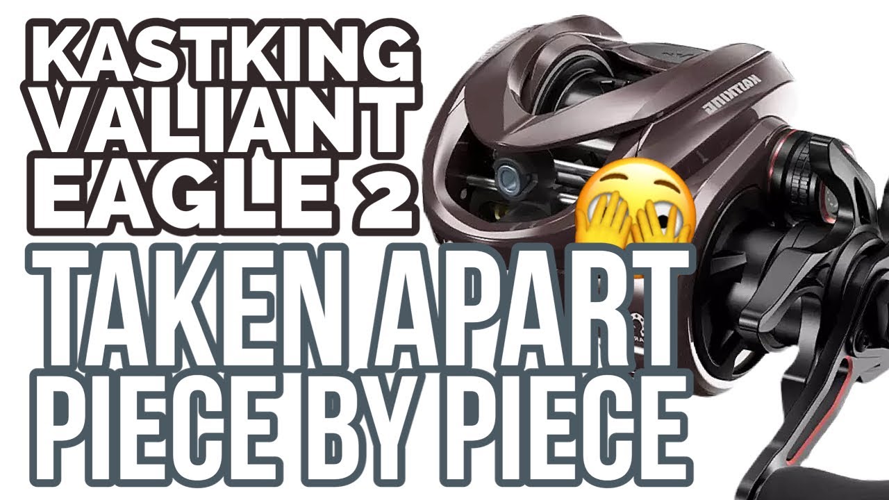 What&rsquo;s inside??? KASTKING VALIANT EAGLE 2 TEARDOWN
